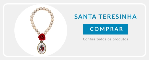Banner santa teresinha