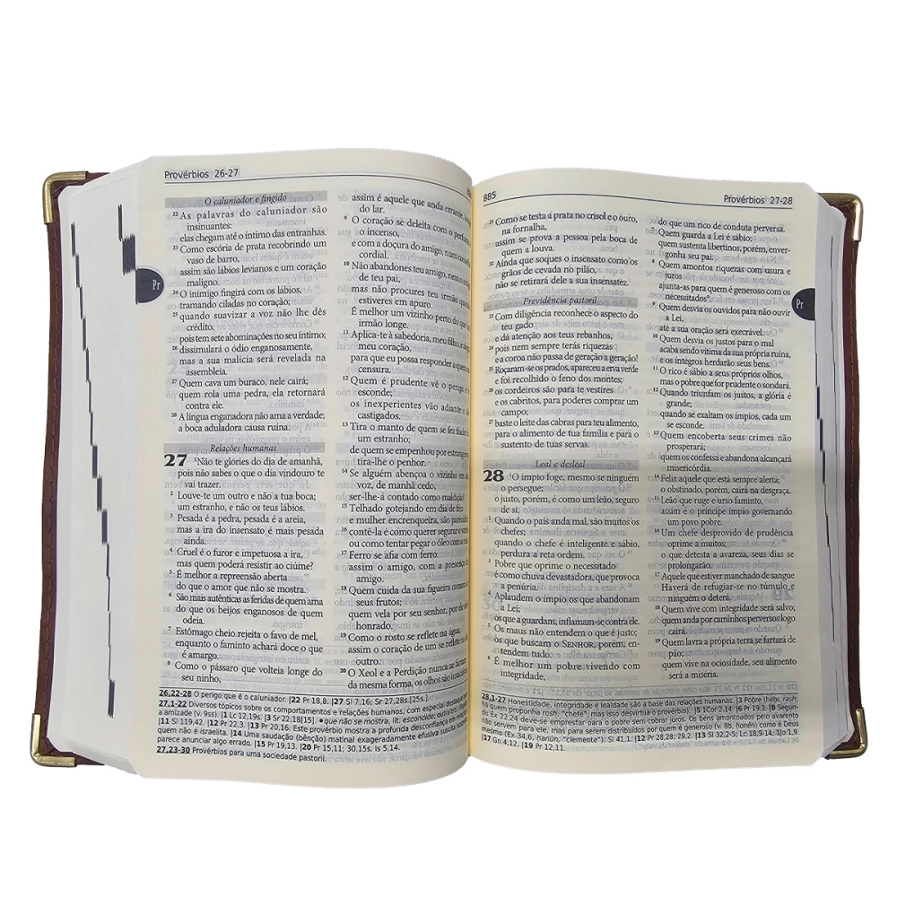 01.03609_image_4 01.03609_image_4