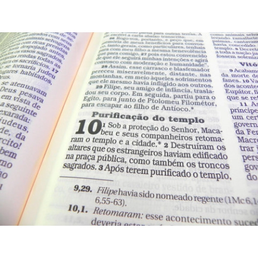 01.02550_image_4 01.02550_image_4