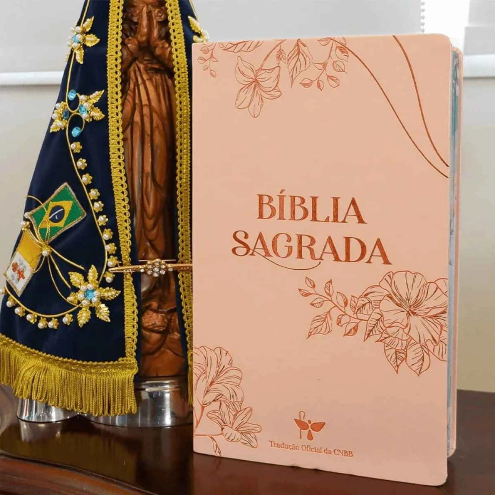 Bíblia Sagrada Tradução Oficial da CNBB - Luxo - Letra Grande - Feminina