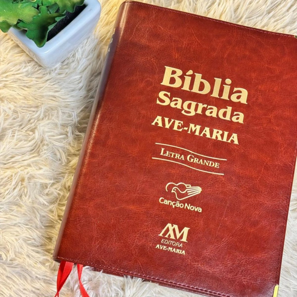 Bíblia Sagrada Ave Maria - Letra Grande