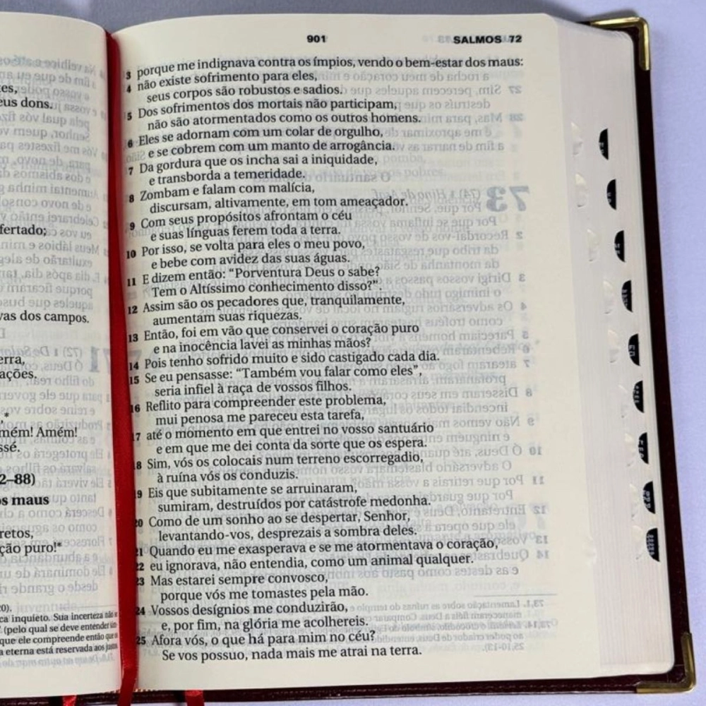 Bíblia Sagrada Ave Maria - Letra Grande