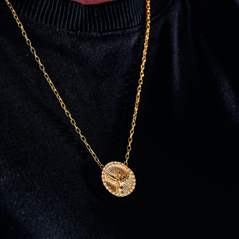 04.08237_image_2 04.08237_image_2