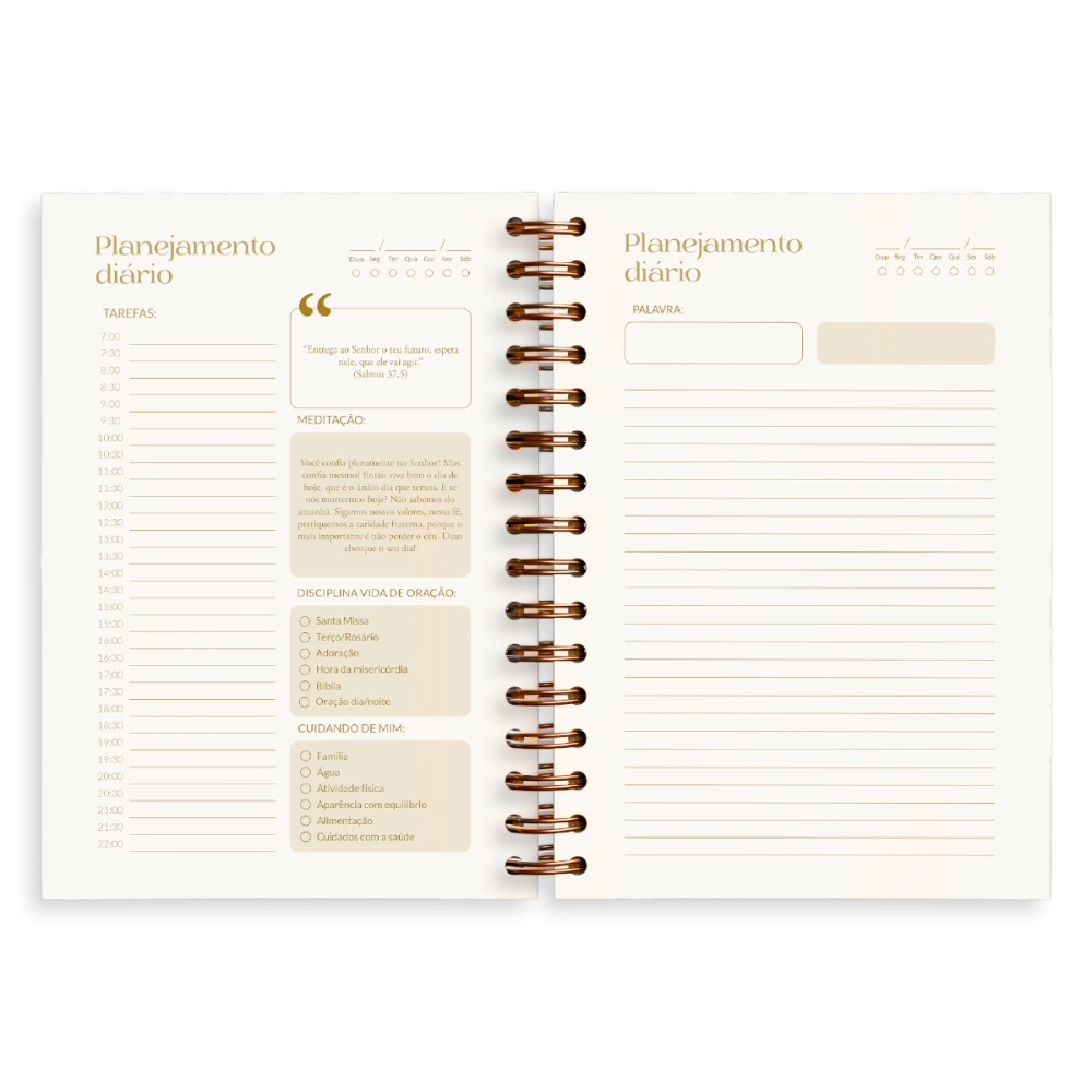 01.03648_image_6 01.03648_image_6