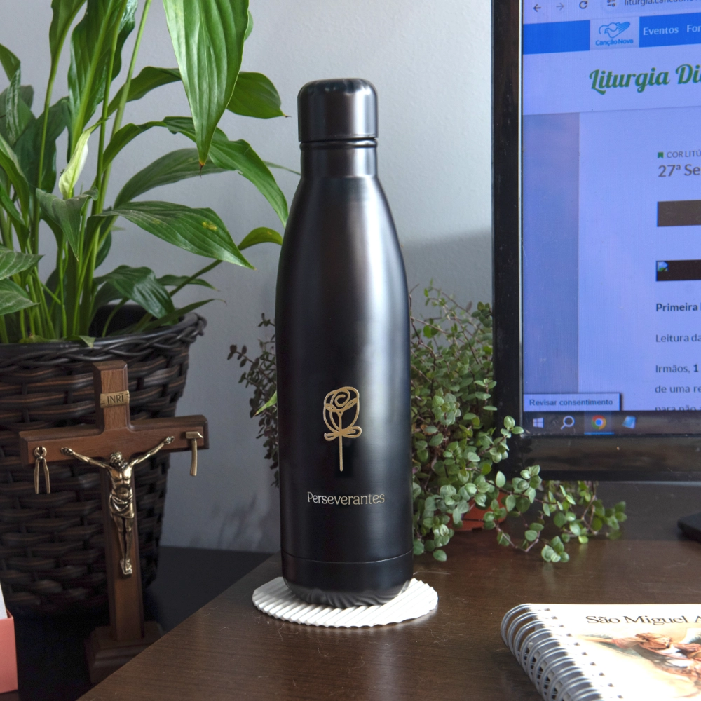 04.08623_image_3 04.08623_image_3