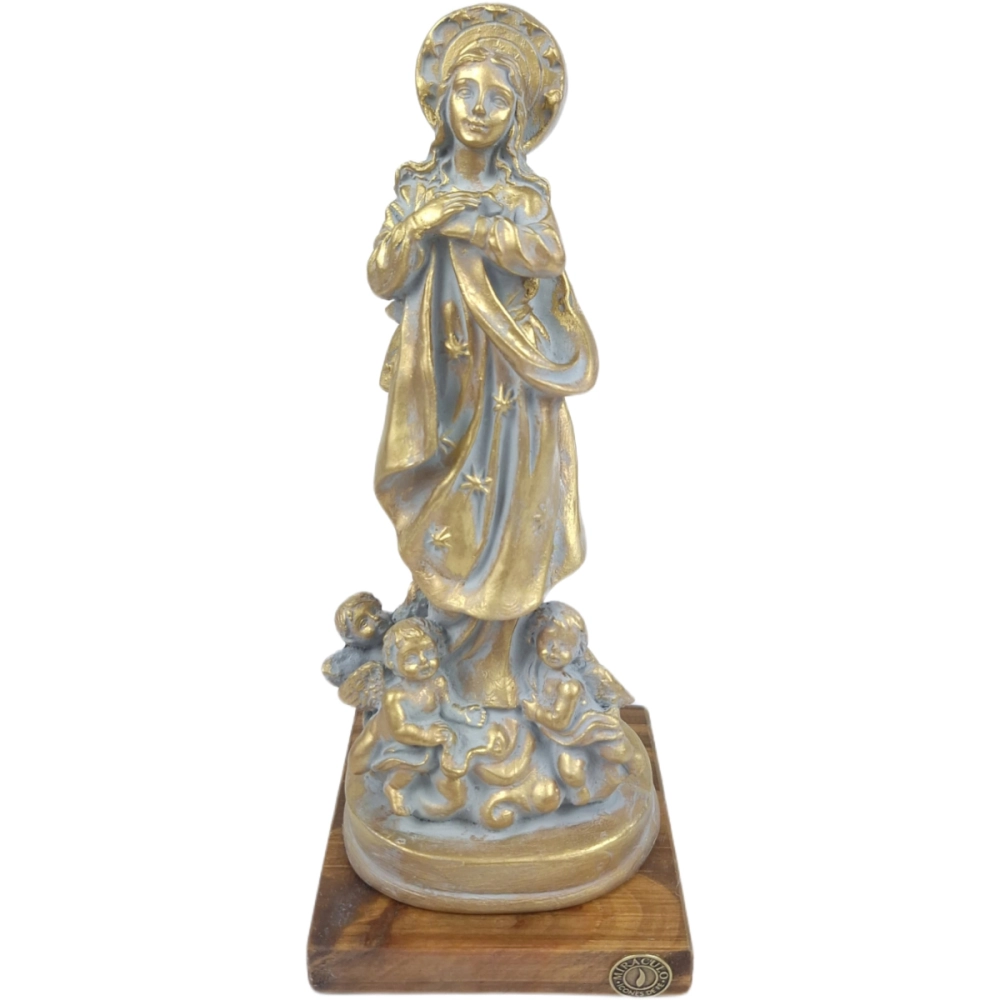 04.08479_image_1 04.08479_image_1