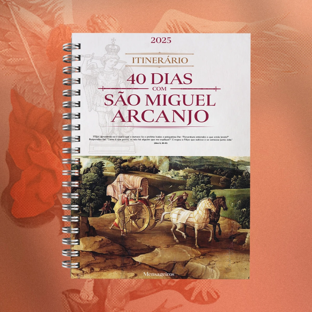 Kit Livros Frei Gilson