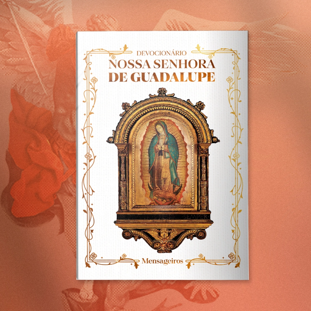 Kit Livros Frei Gilson - Com 3