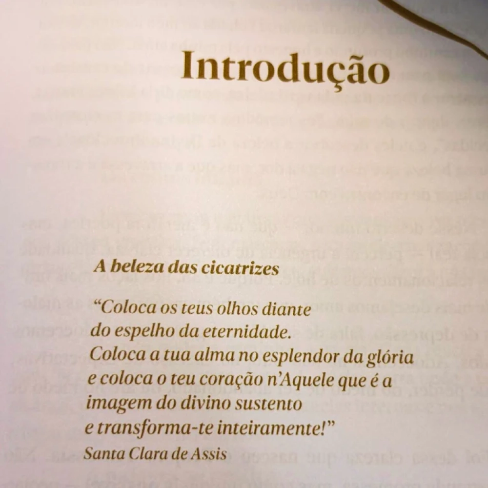 Livro A Beleza das Cicatrizes