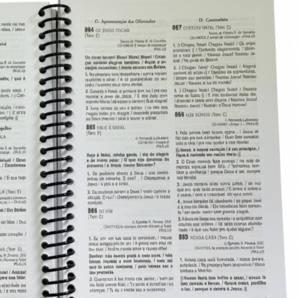 Livro Alegres Cantemos - Músicas para Cantar a Liturgia  - 4ª Edição