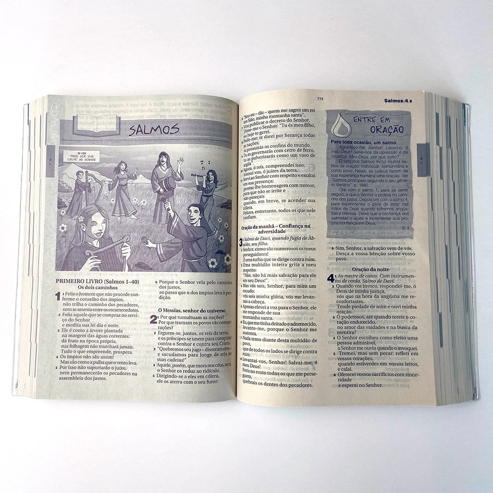 Livro Bíblia Católica do Jovem - Ave Maria