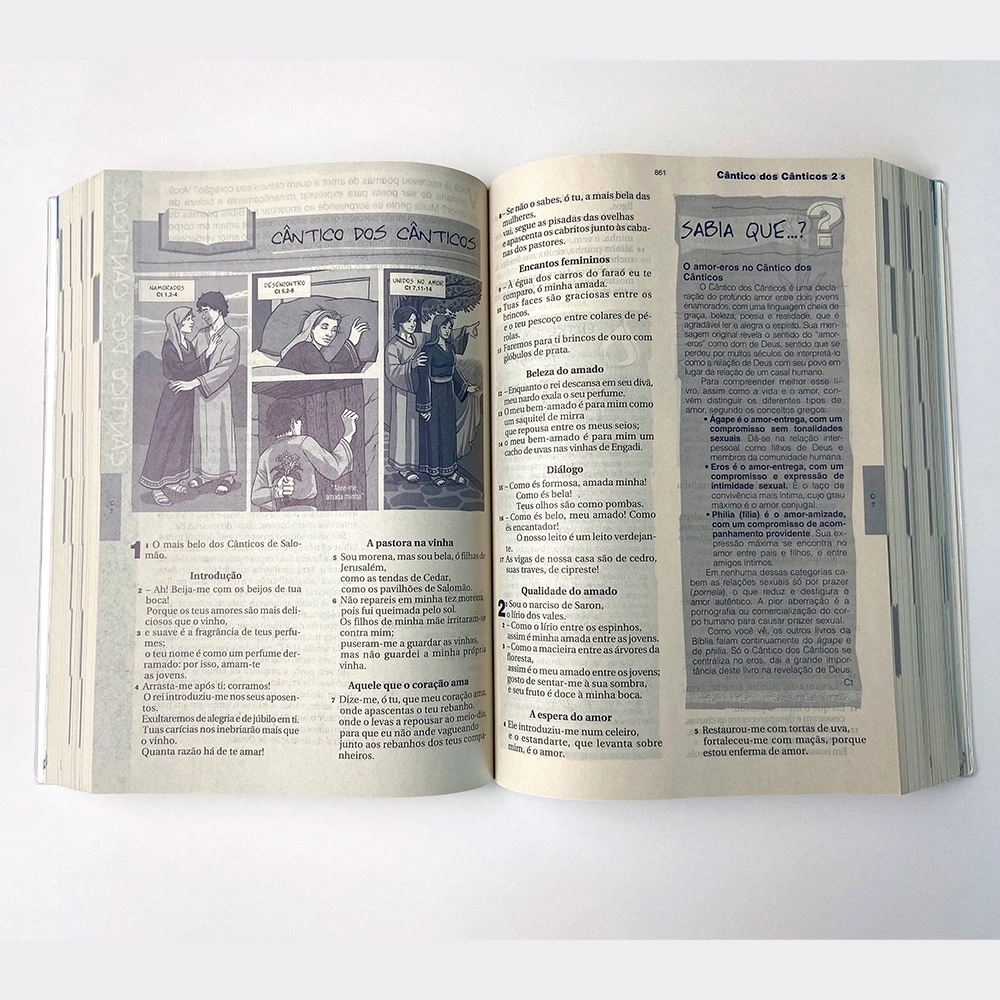 Livro Bíblia Católica do Jovem - Ave Maria