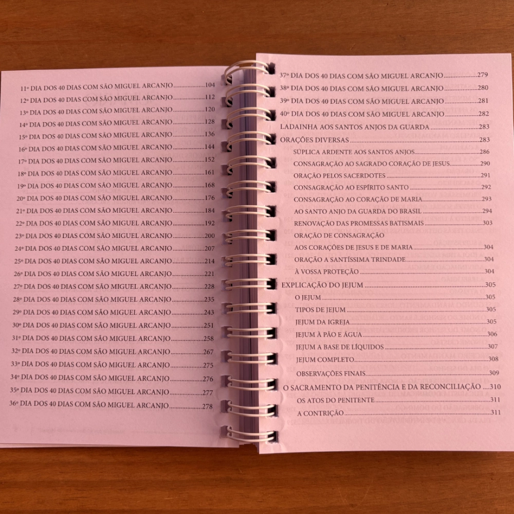 Livro Itinerário dos 40 Dias com São Miguel Arcanjo