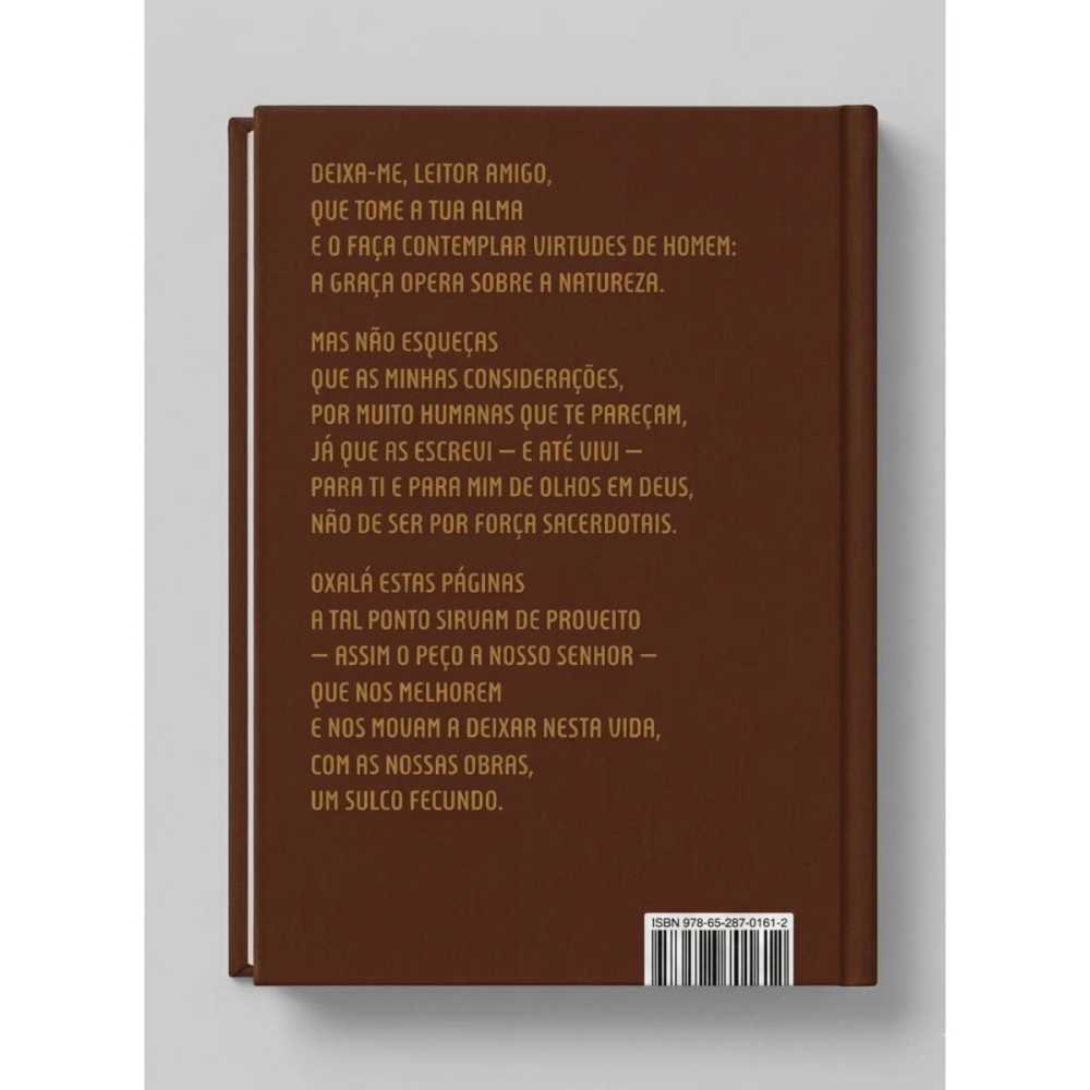 Livro Sulco