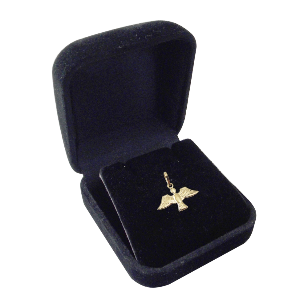 04.06917_image_2 04.06917_image_2