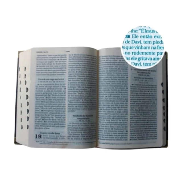 Bíblia Sagrada Ave Maria - Letra Grande