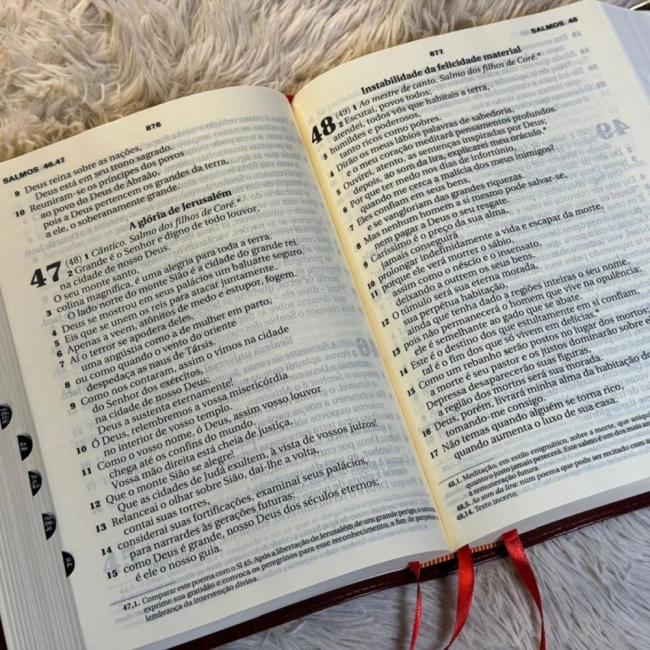 Bíblia Ave-Maria - Edição de Estudos