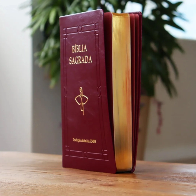 Bíblia Luxo Letra Grande - Vinho
