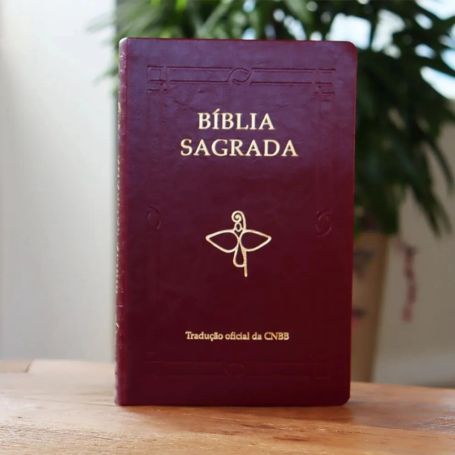 Bíblia Luxo Letra Grande - Vinho