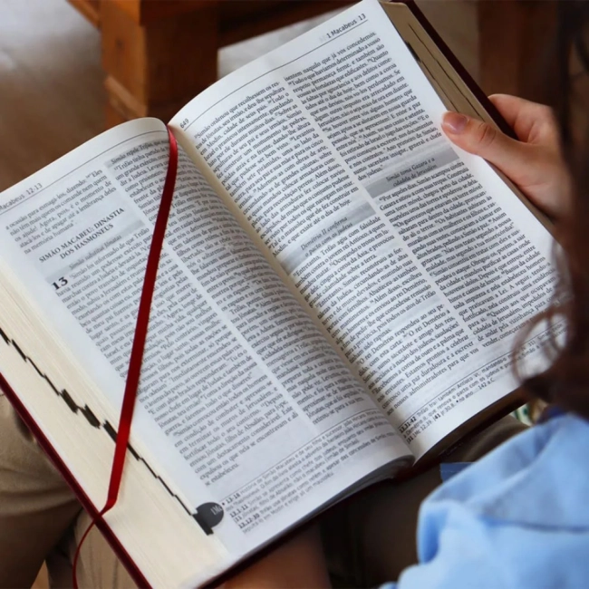 Bíblia Luxo Letra Grande - Vinho