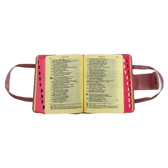 Bíblia Sagrada Ave Maria - Bolsa com Alça Rosa