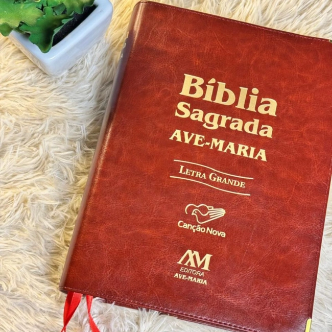 Bíblia Sagrada Ave Maria - Letra Grande