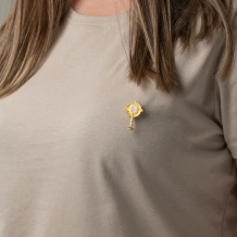 Broche Ostensório
