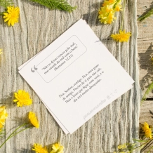 Caixinha de Mensagens Perseverantes