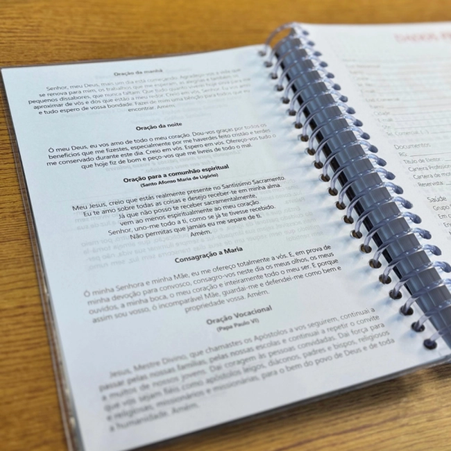 Diário Bíblico Capa Cristal Nossa Senhora de Fátima Diário Bíblico Capa Cristal Nossa Senhora de Fátima