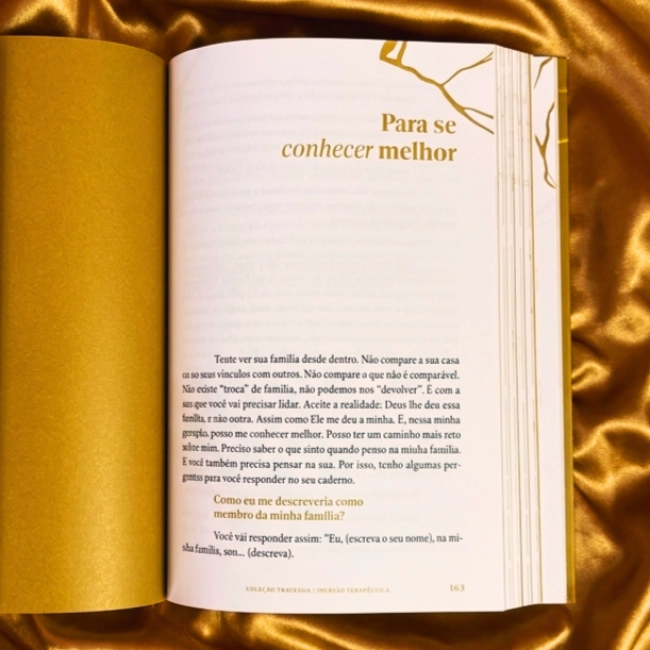 Livro A Beleza das Cicatrizes