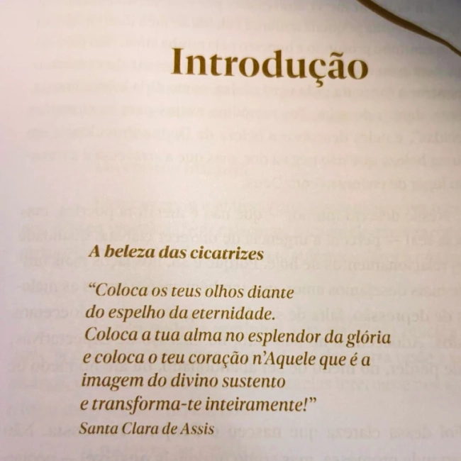 Livro A Beleza das Cicatrizes