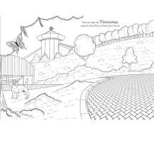 Livro A Canção Nova em Cores