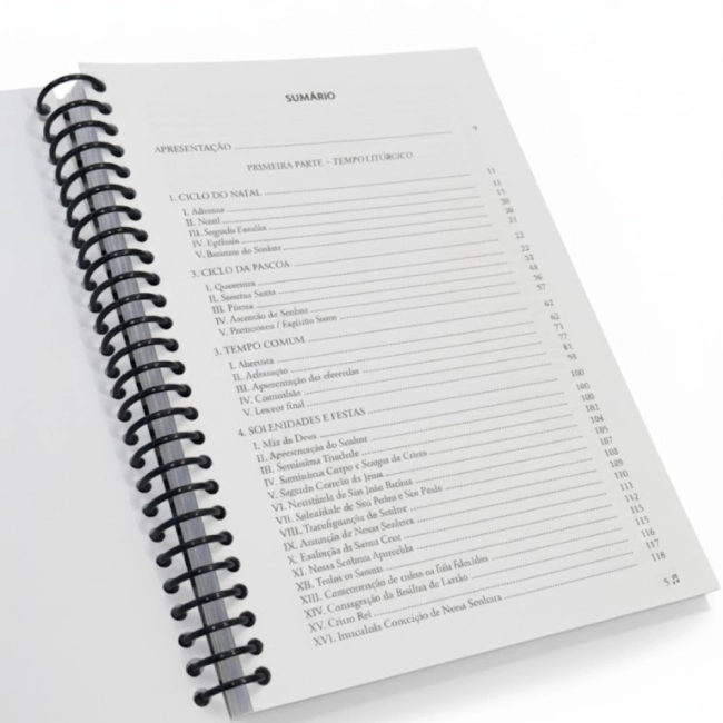 Livro Alegres Cantemos - Músicas para Cantar a Liturgia  - 4ª Edição