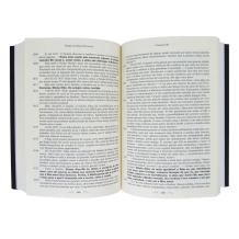 Livro Diário de Santa Faustina (Capa Flexível)