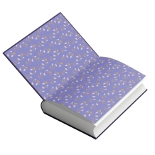 Livro Irmã Faustina: Biografia de uma Santa