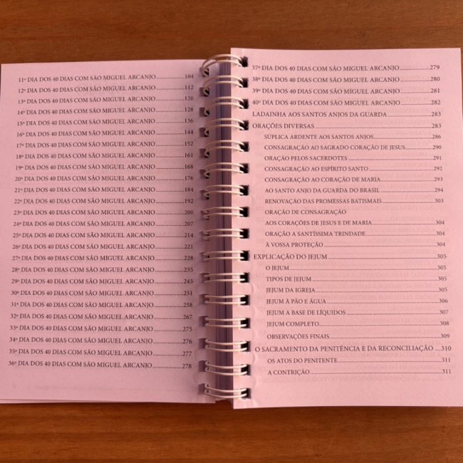 Livro Itinerário dos 40 Dias com São Miguel Arcanjo