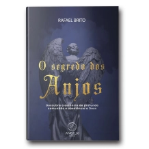 Livro O Segredo dos Anjos Livro O Segredo dos Anjos